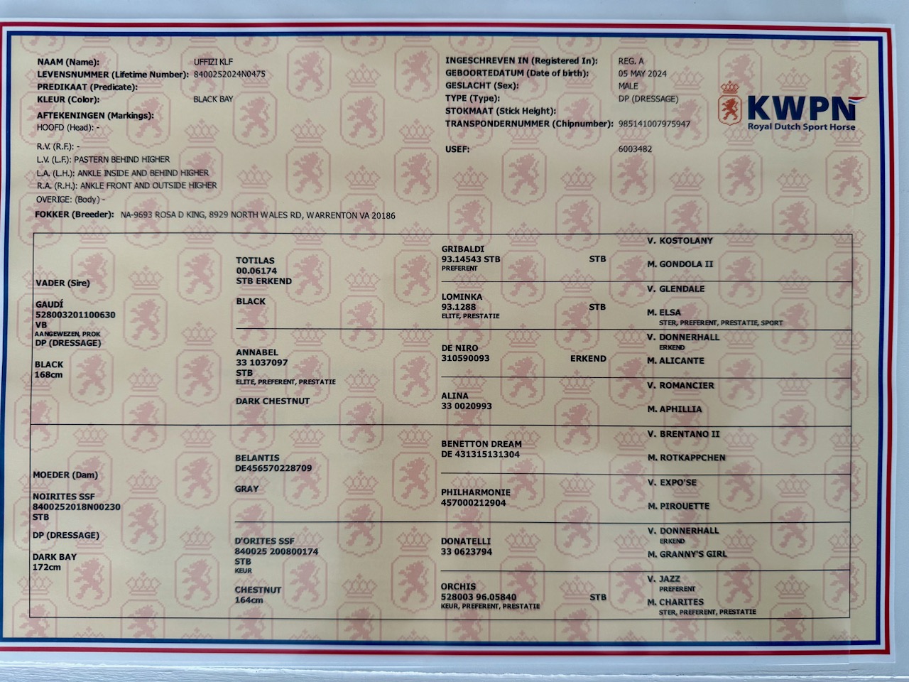 Uffizi's registration and pedigree